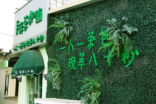 優(yōu)蘭德私人訂制仿真植物墻