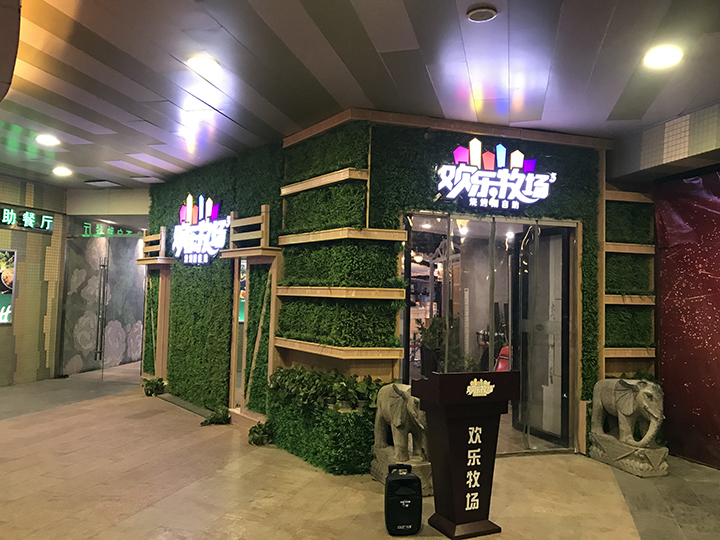 餐飲行業(yè)室內(nèi)仿真植物墻