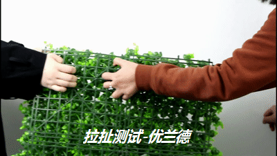 拉扯測(cè)試