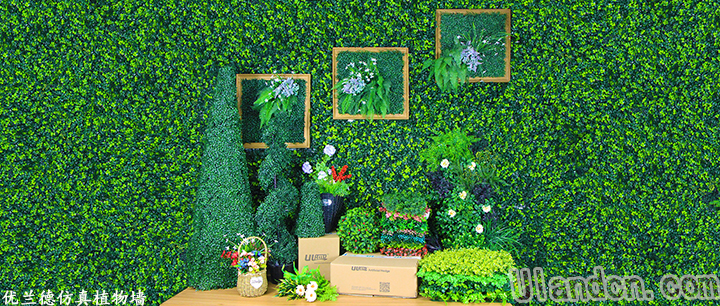 南京優(yōu)蘭德仿真植物墻