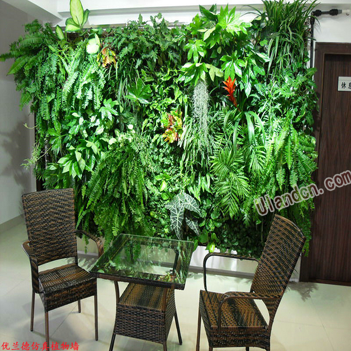 室內(nèi)立體綠化植物景觀